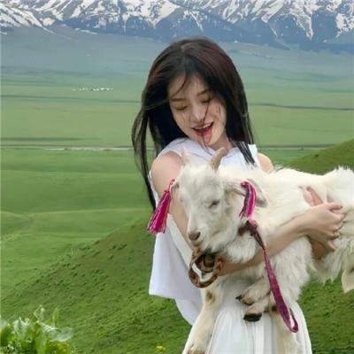 鬼入镜：诅咒 海报